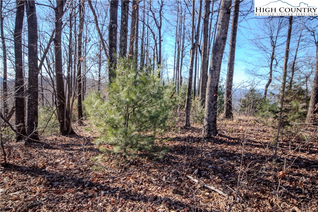 2221 Nighthawk Ridge Court Lenoir, NC 28645 - Photo 9 of 11