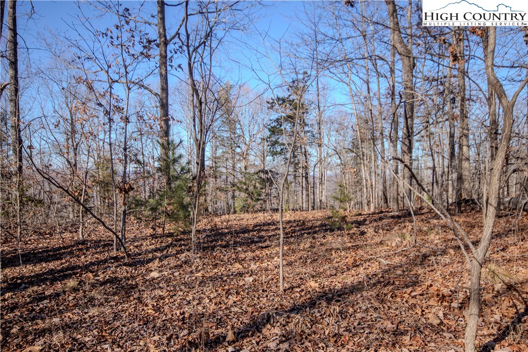 2221 Nighthawk Ridge Court Lenoir, NC 28645 - Photo 10 of 11