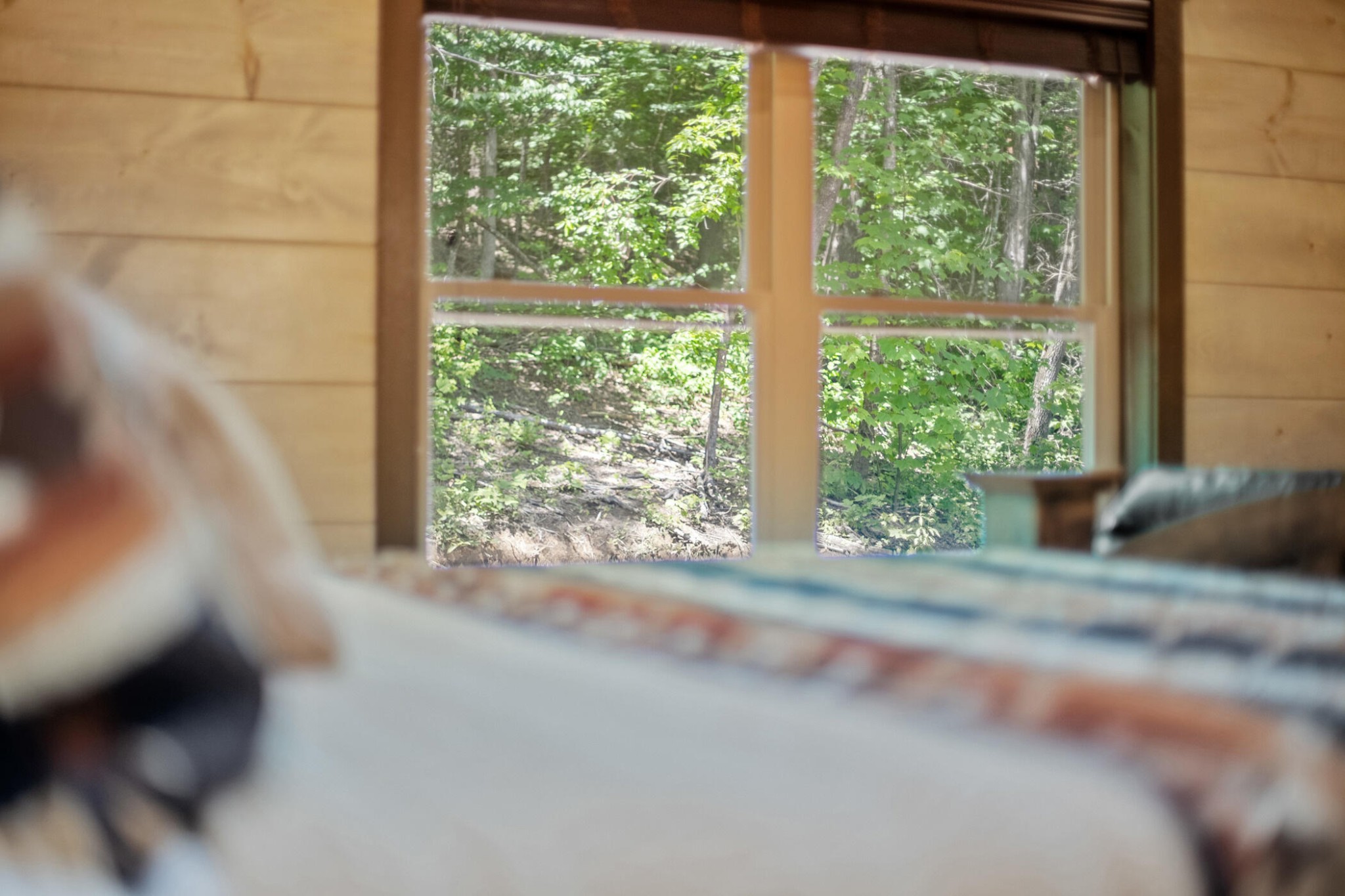 311 Proffitt Road Gatlinburg, TN 37738 - Photo 70 of 91 Gallery Image 70