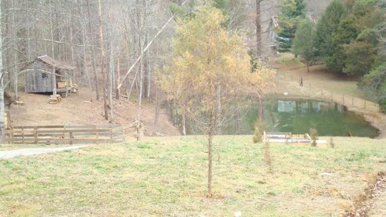 998 War Fork Road McKee, KY 40447 - Photo 9 of 23 Cabin & pond (owner says stocked with ca