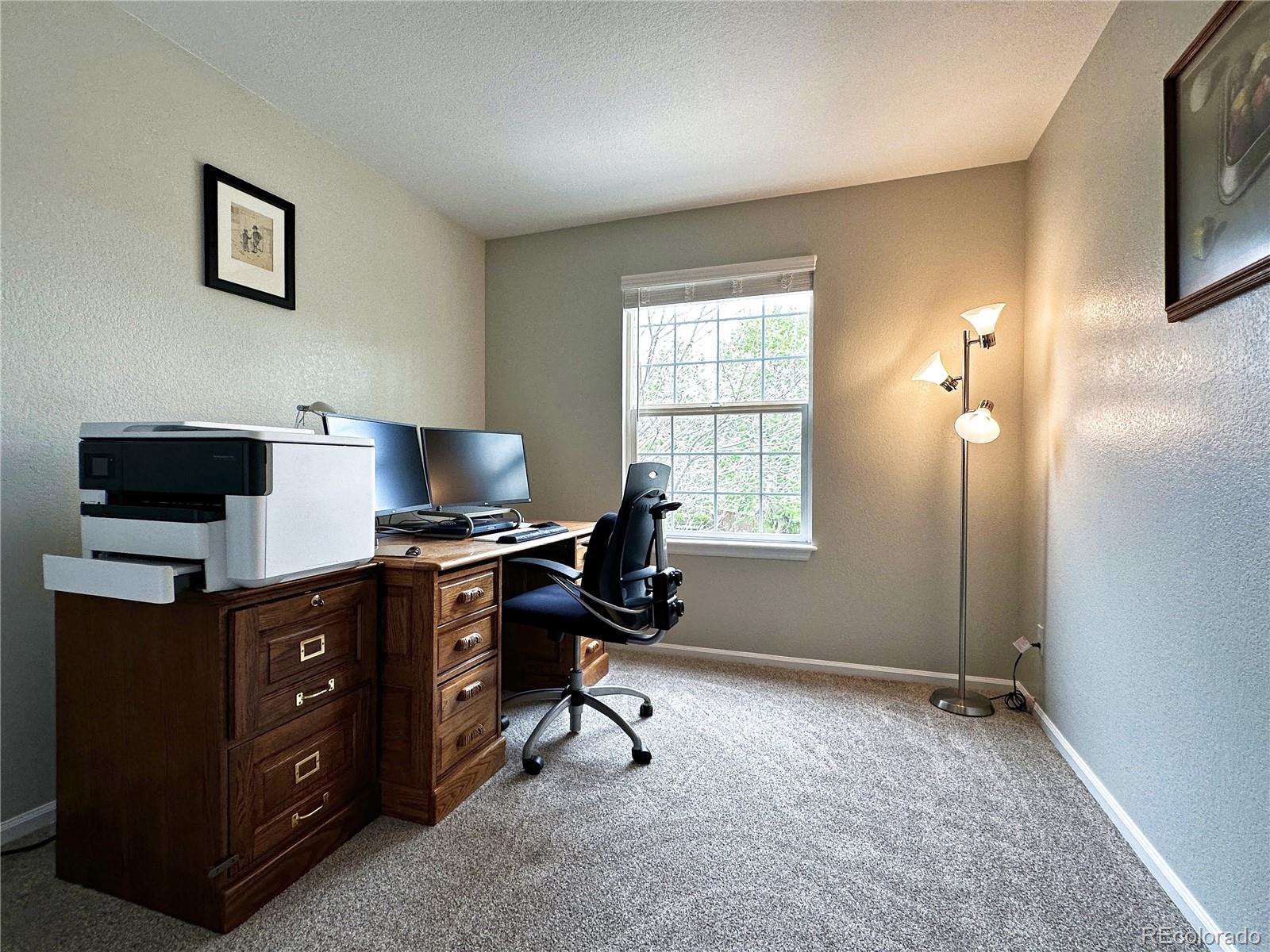 1089 Riddlewood Lane Highlands Ranch, CO 80129 - Photo 24 of 32 Gallery Image 24