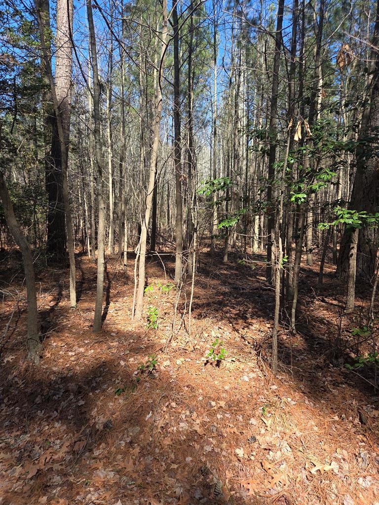 0 Holly Cove Road, Unit 13 Onancock, VA 23417 - Photo 1 of 5