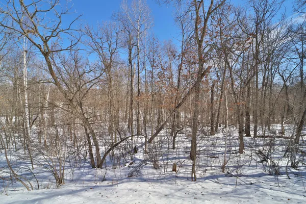 $22,000 | Tbd Percheron Drive, Breezy Point, MN 56472