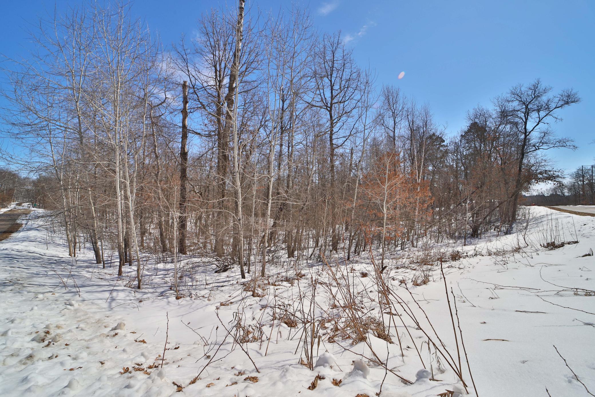 Tbd Percheron Drive Breezy Point, MN 56472 - Photo 4 of 10