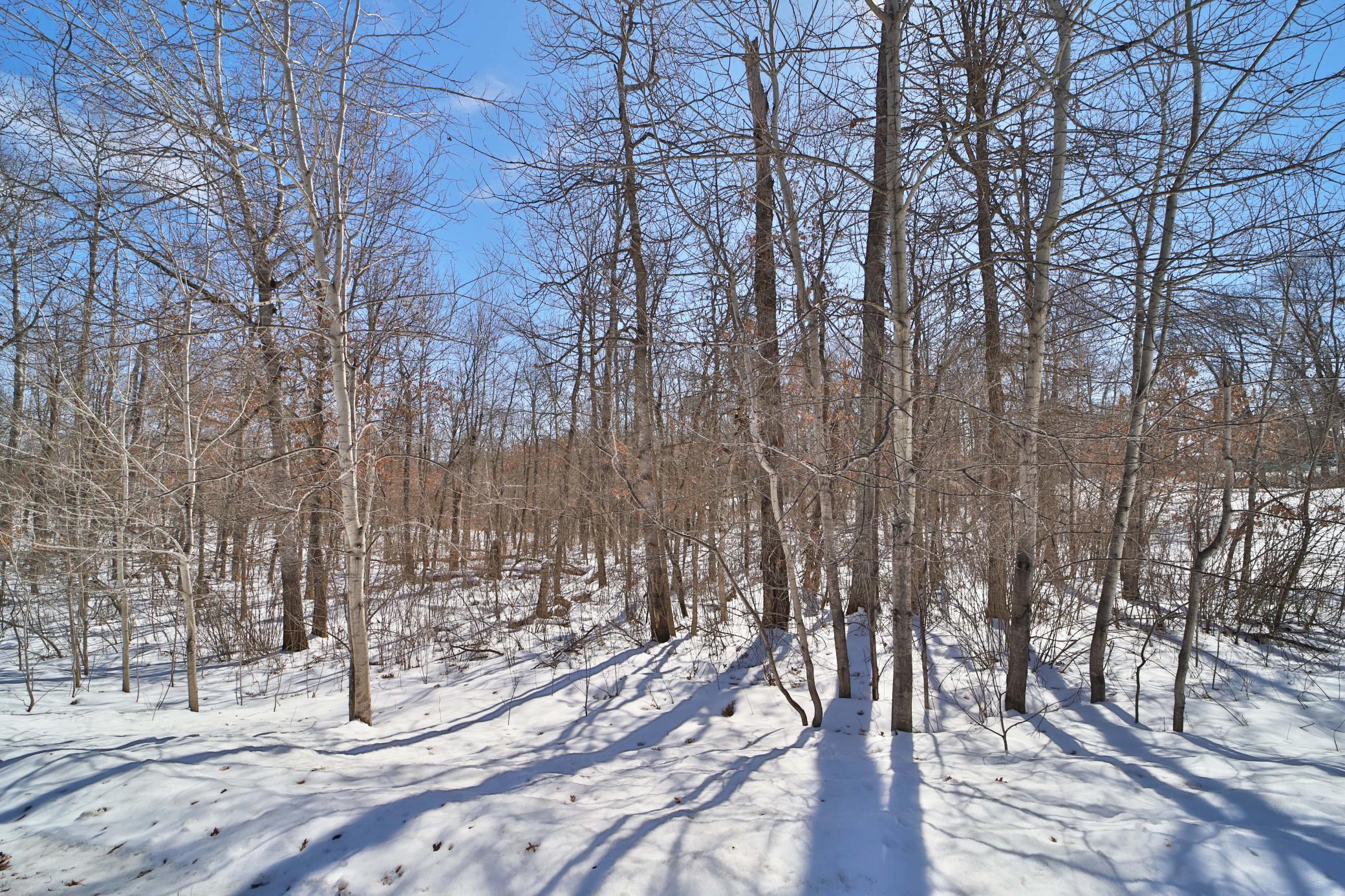 Tbd Percheron Drive Breezy Point, MN 56472 - Photo 5 of 10