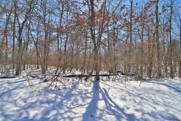 $22,000 | Tbd Percheron Drive, Breezy Point, MN 56472