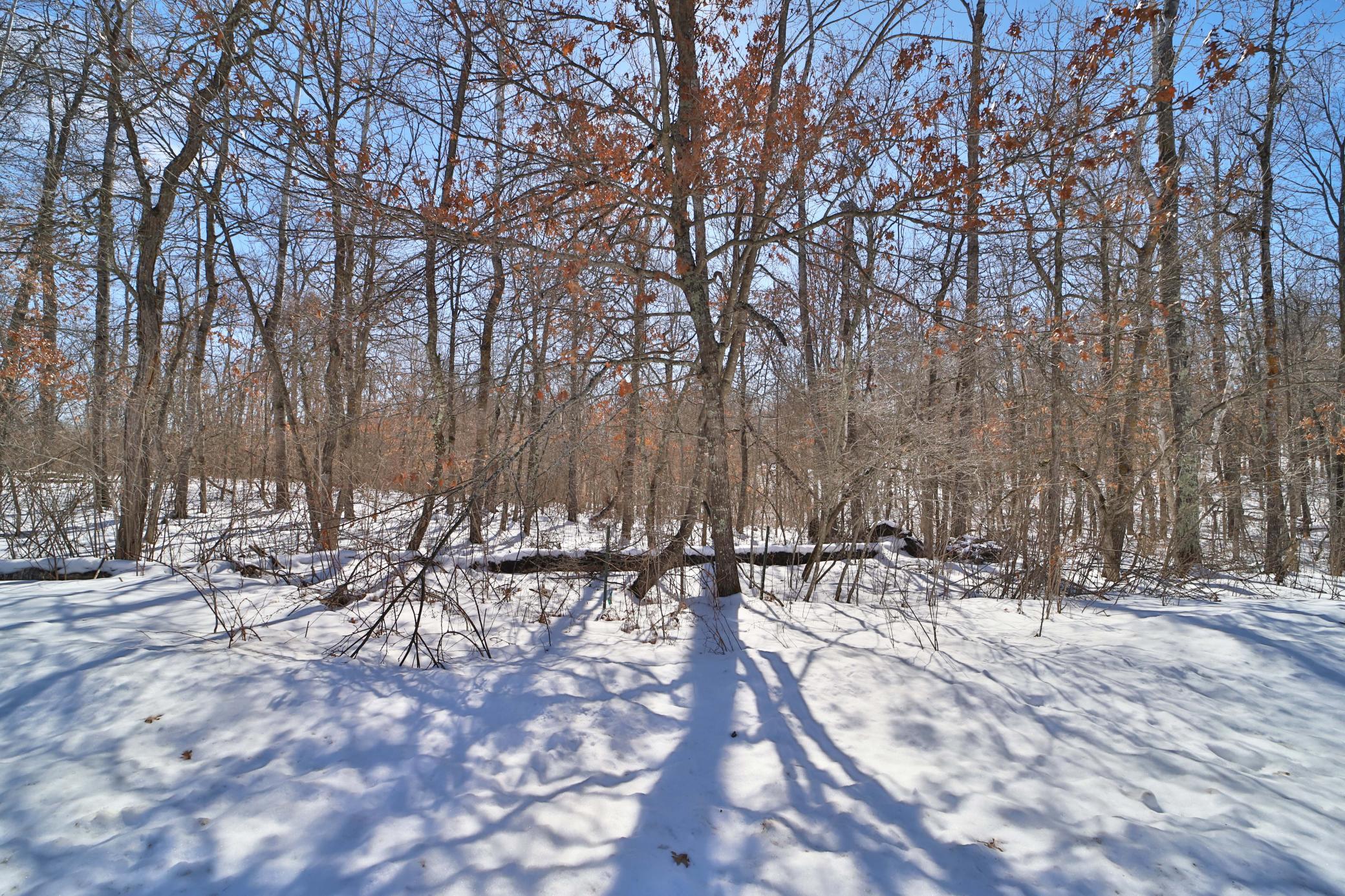 Tbd Percheron Drive Breezy Point, MN 56472 - Photo 7 of 10