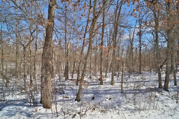 $22,000 | Tbd Percheron Drive, Breezy Point, MN 56472