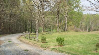 2837 Pendleton Road Thaxton, VA 24174 - Photo 1 of 6 a backyard of a house with lots of green space