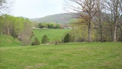 2837 Pendleton Road Thaxton, VA 24174 - Photo 4 of 6 a view of outdoor space with green field and trees