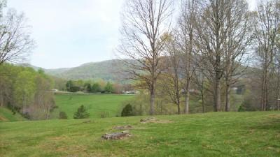 2837 Pendleton Road Thaxton, VA 24174 - Photo 5 of 6 a view of outdoor space and yard