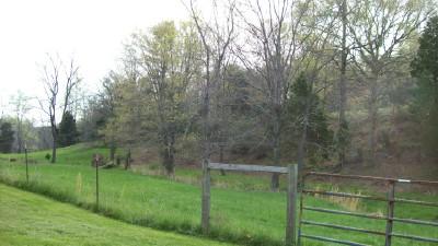 2837 Pendleton Road Thaxton, VA 24174 - Photo 6 of 6 a view of a back yard