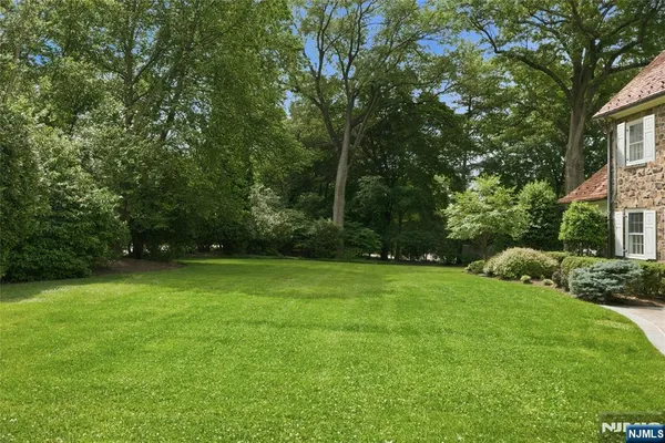 a view of a field of grass and trees