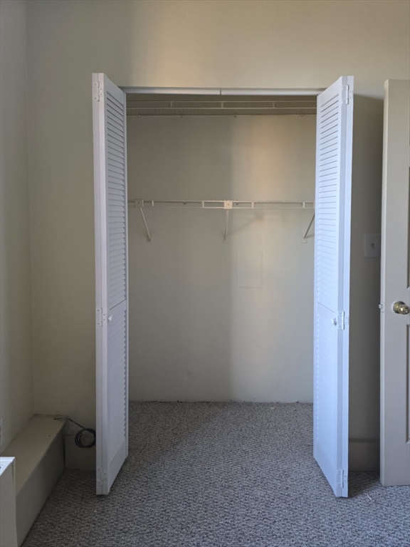 140 Chestnut Street, Unit 210 Springfield, MA 01103 - Photo 6 of 10 a view of closet area