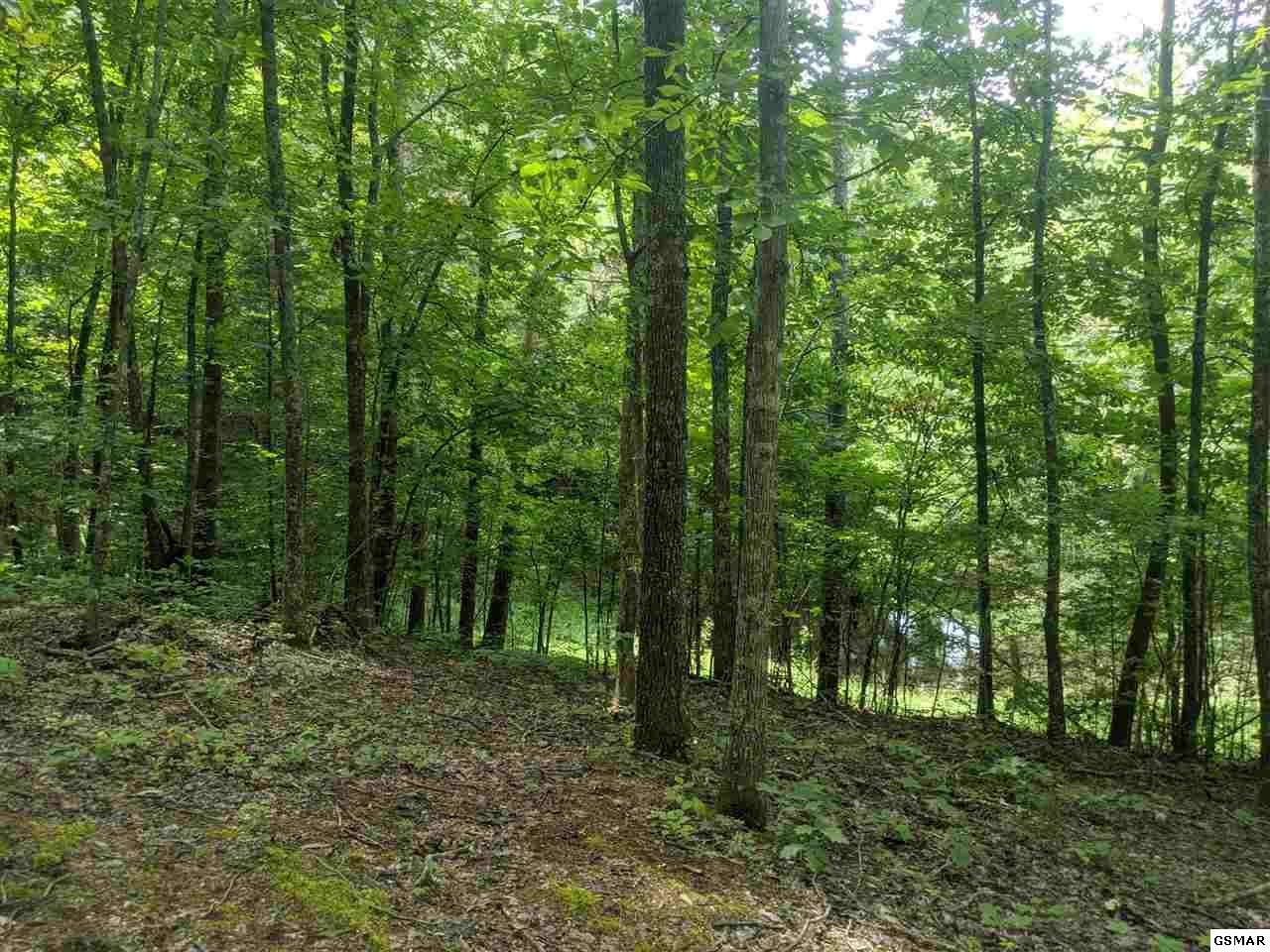 0 Blue Springs Road Strawberry Plains, TN 37871 - Photo 23 of 31 Gallery Image 23