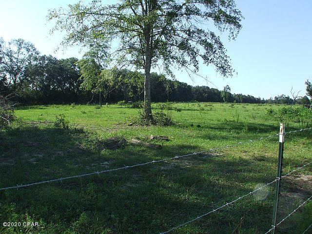 2835 Beall Packing Road Bonifay, FL 32425 - Photo 44 of 48 Gallery Image 44