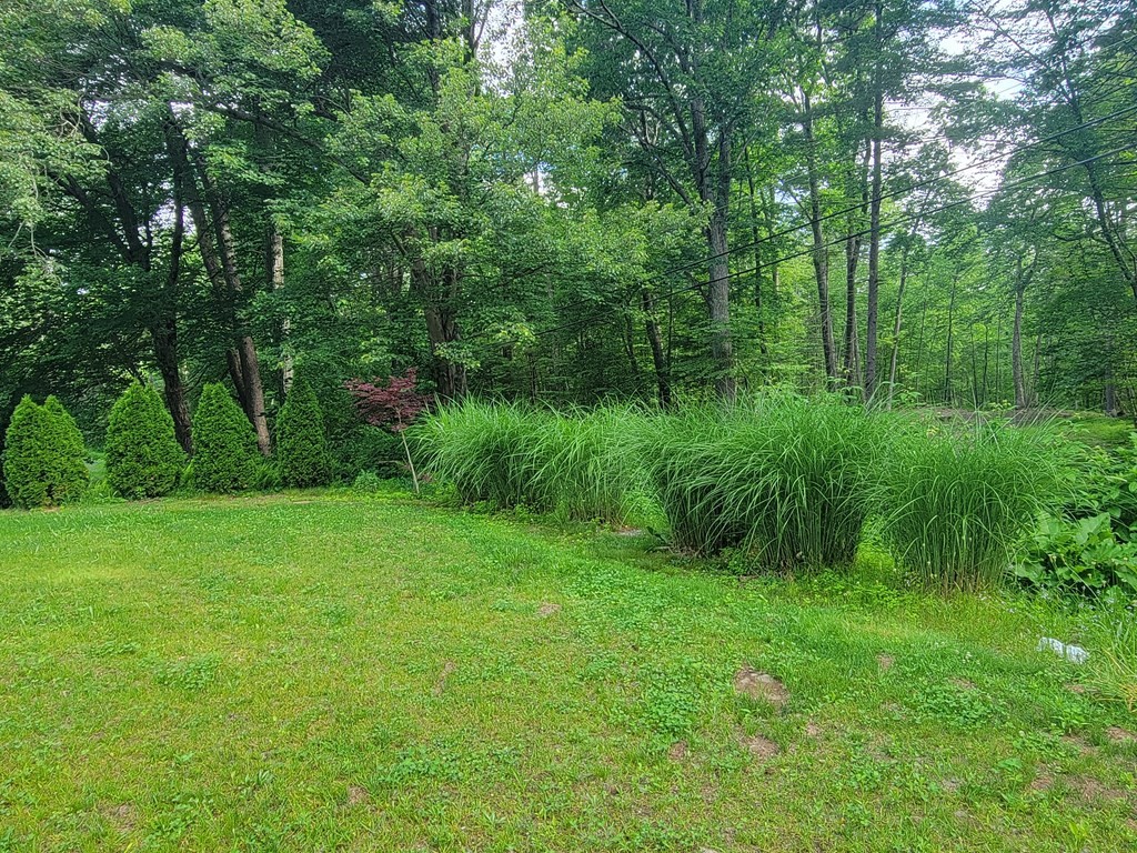 208 Old Belchertown Road Ware, MA 01082 - Photo 22 of 23 a view of a lush green space