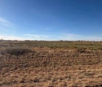 0 State Highway Denver City, TX 79323 - Photo 4 of 4 160 acres of farm land with road frontage