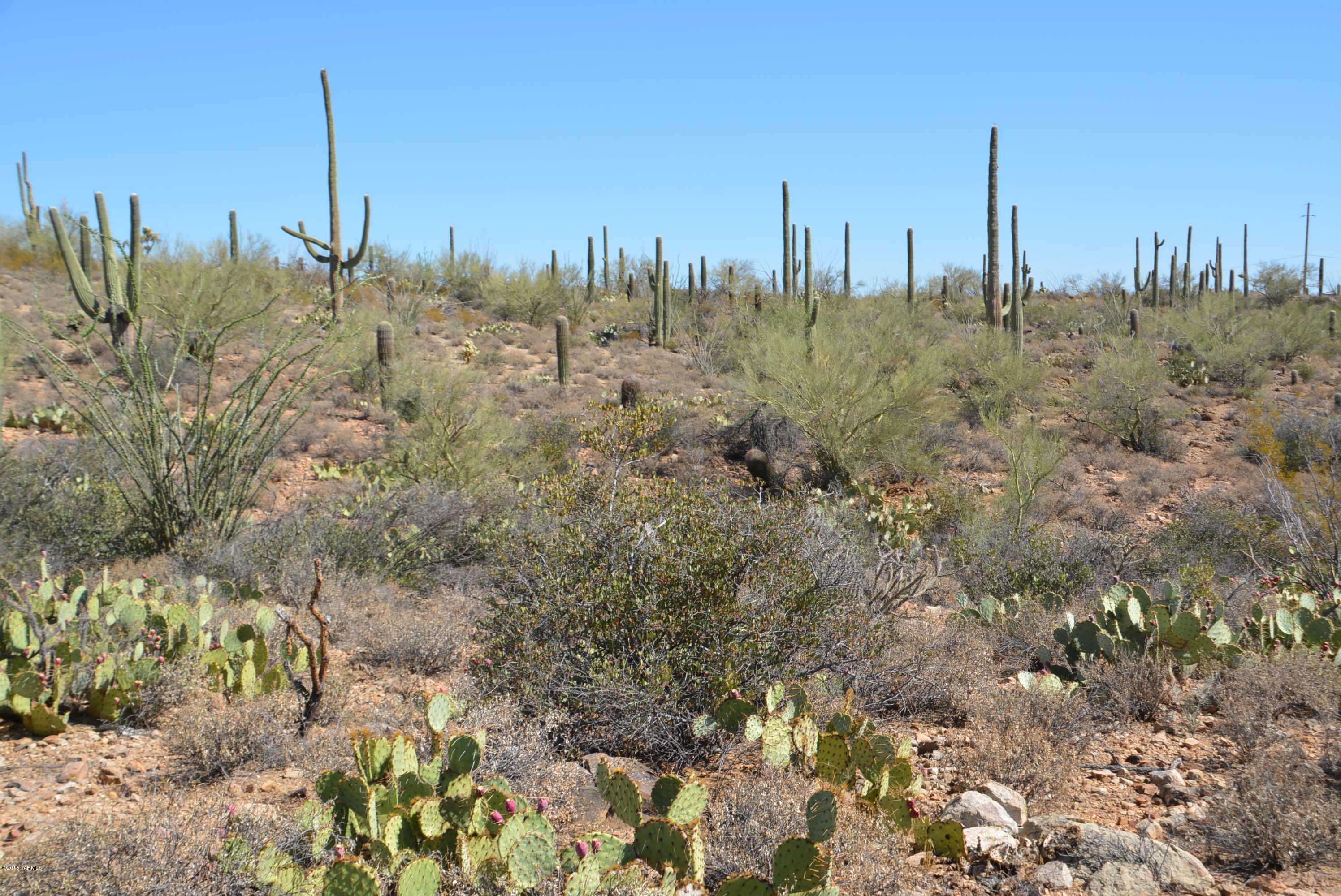 0 Broken Spring Tucson, AZ 85745 - Photo 24 of 24