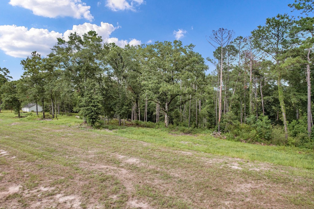 1904 Gilley Mill Road Headland, AL 36345 - Photo 51 of 51