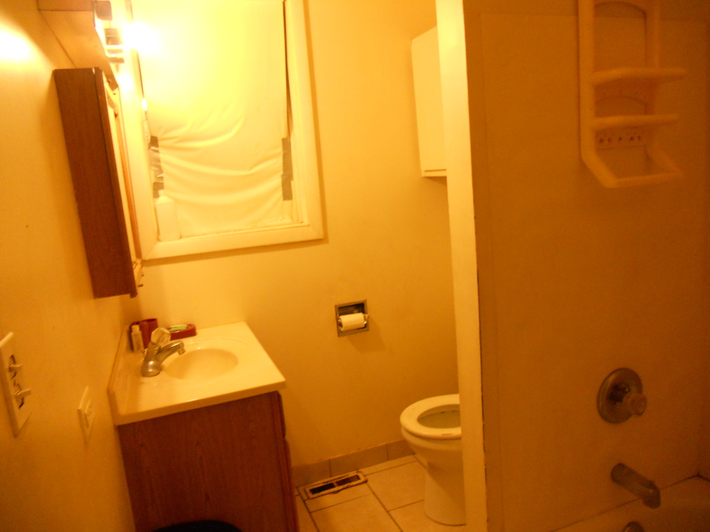 1613 Hanover Street Chicago Heights, IL 60411 - Photo 19 of 23