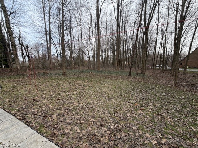 35180 Solon Road Solon, OH 44139 - Photo 11 of 33 View of yard