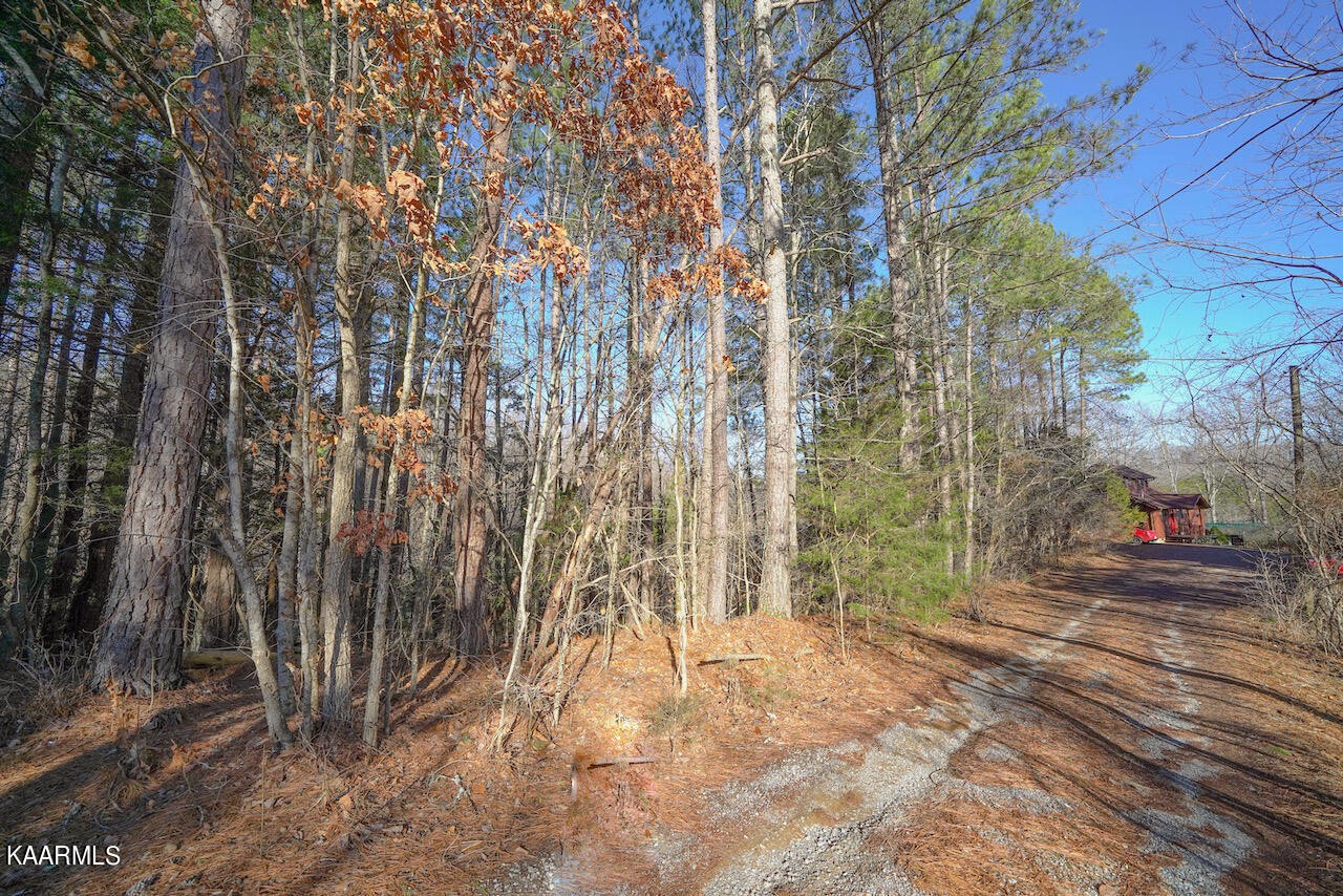 151 South New Era Road Sevierville, TN 37862 - Photo 1 of 10 Gallery Image 1