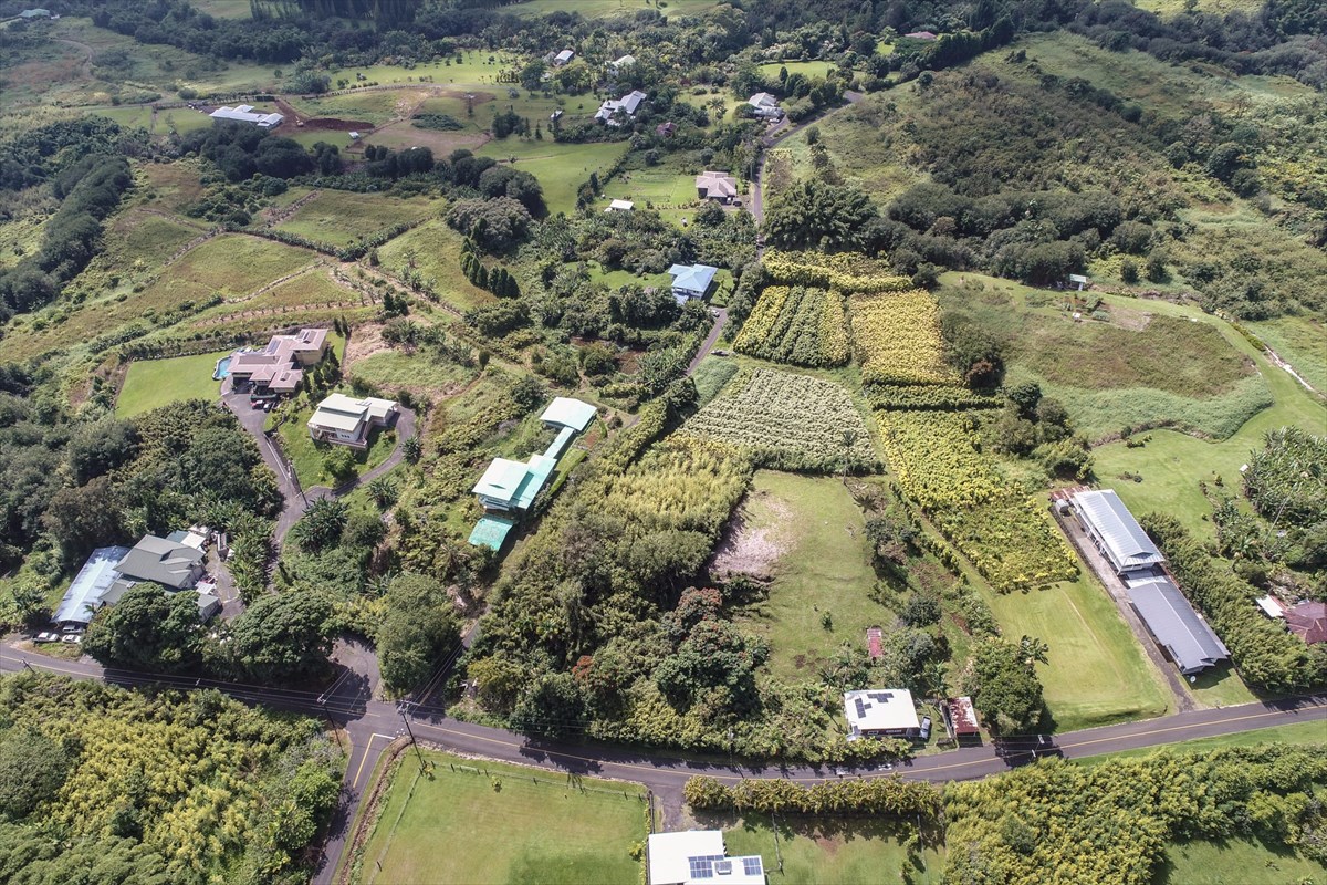 699 Kopa'a Road Hilo, HI 96720 - Photo 11 of 20 a view of lake