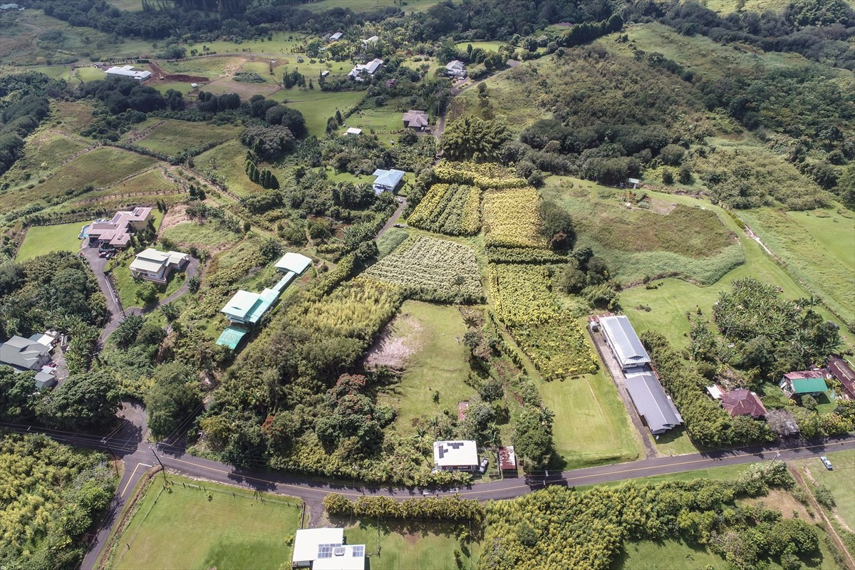 699 Kopa'a Road Hilo, HI 96720 - Photo 12 of 20 a view of a yard