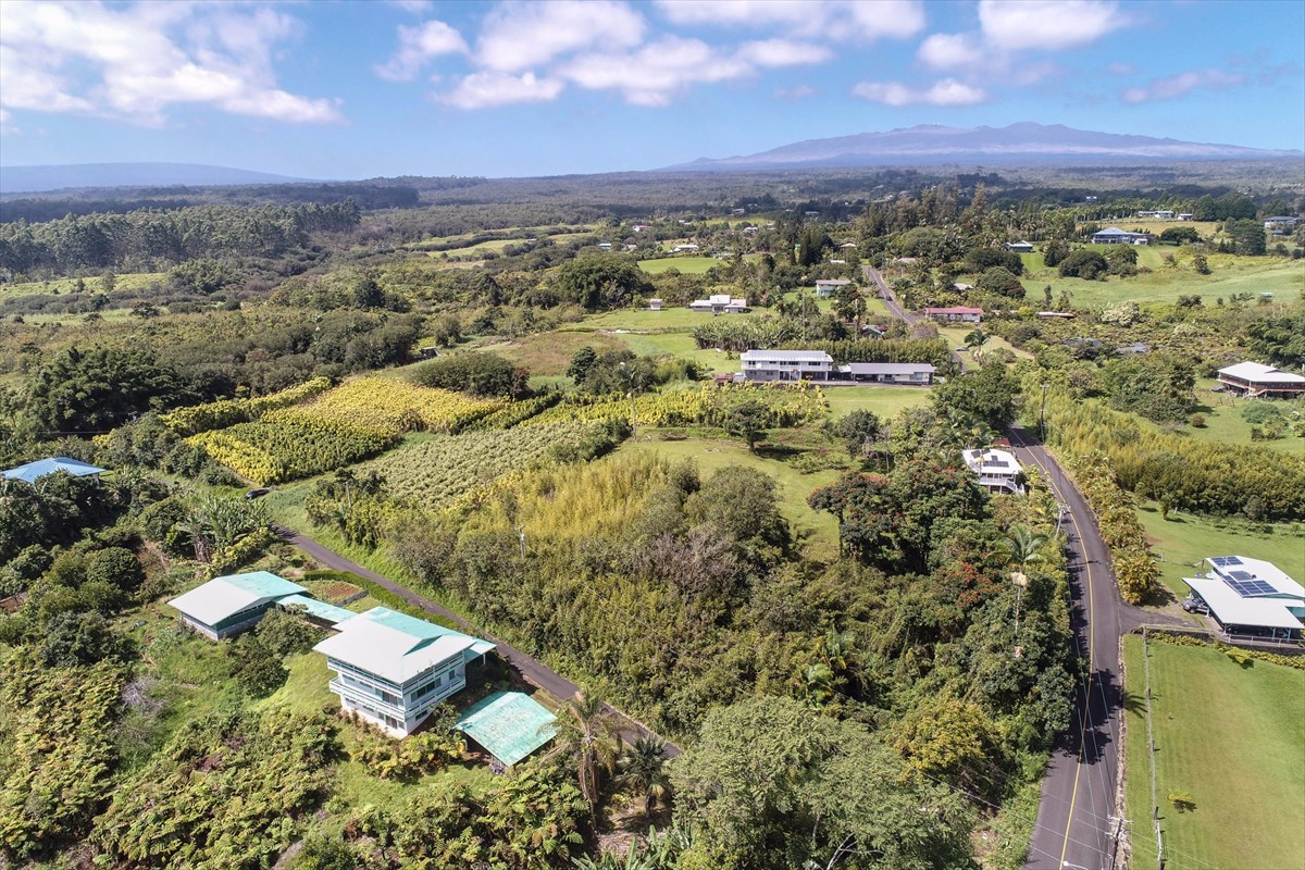 699 Kopa'a Road Hilo, HI 96720 - Photo 14 of 20 an aerial view of residential houses with outdoor space