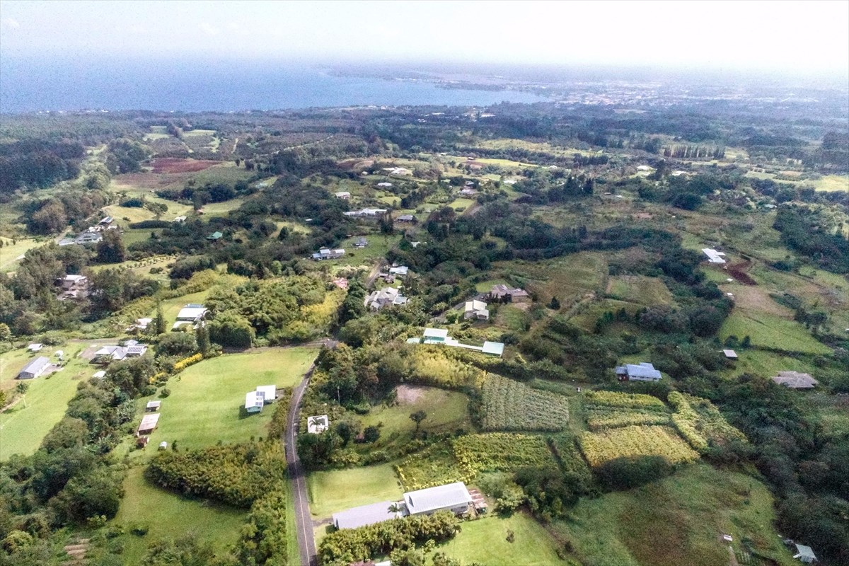 699 Kopa'a Road Hilo, HI 96720 - Photo 16 of 20 an aerial view of residential houses with outdoor space