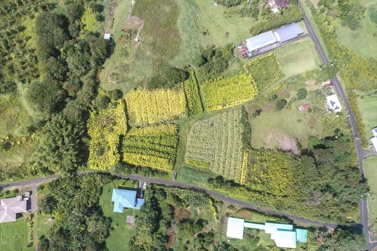 699 Kopa'a Road Hilo, HI 96720 - Photo 20 of 20 an aerial view of a residential houses with yard
