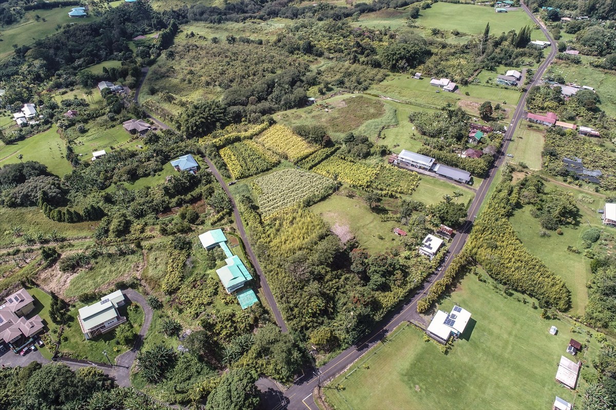 699 Kopa'a Road Hilo, HI 96720 - Photo 2 of 20 an aerial view of residential houses with yard