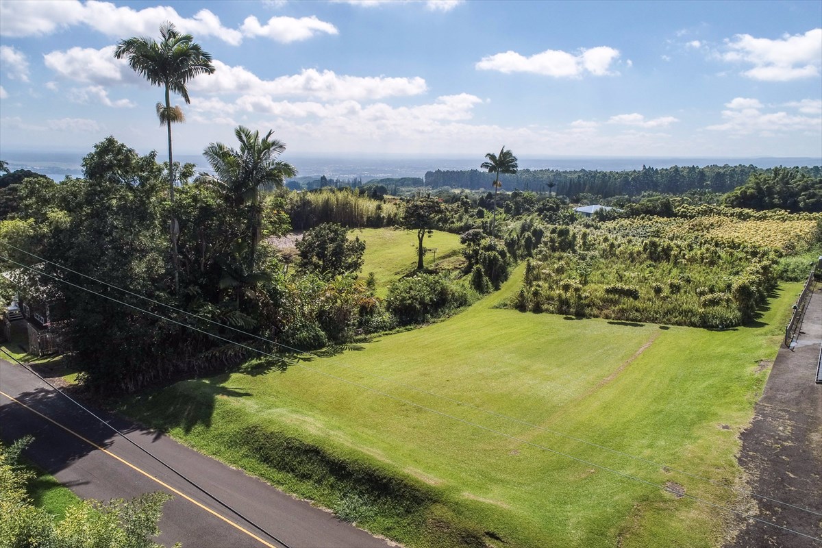 699 Kopa'a Road Hilo, HI 96720 - Photo 3 of 20 a view of a yard with an outdoor space