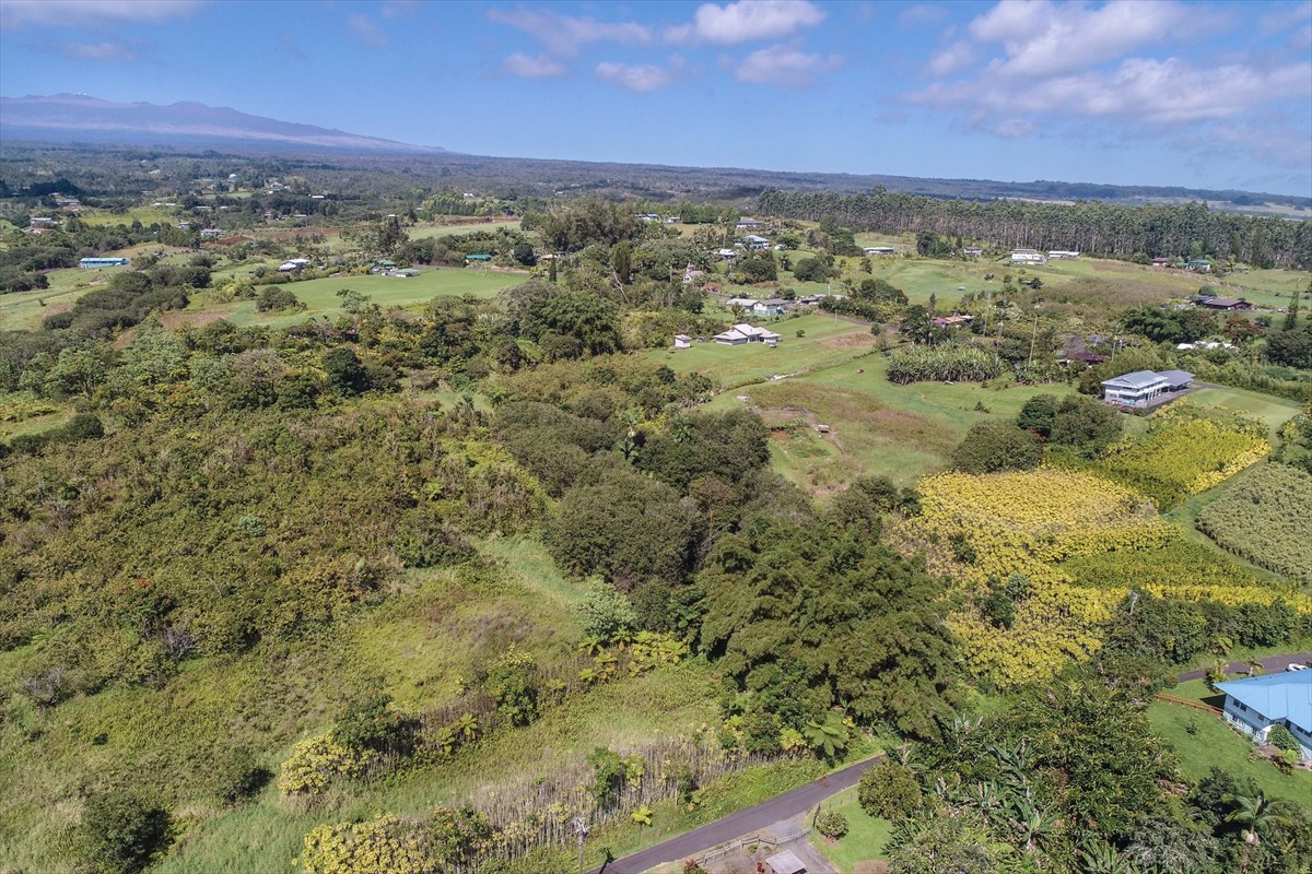 699 Kopa'a Road Hilo, HI 96720 - Photo 5 of 20 a view of a city with lush green forest
