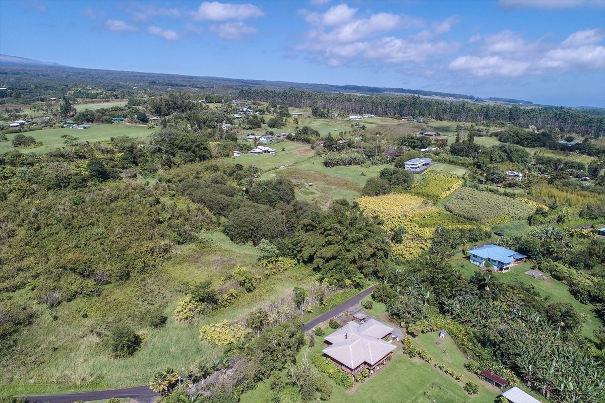 699 Kopa'a Road Hilo, HI 96720 - Photo 6 of 20 a view of a city with lush green forest