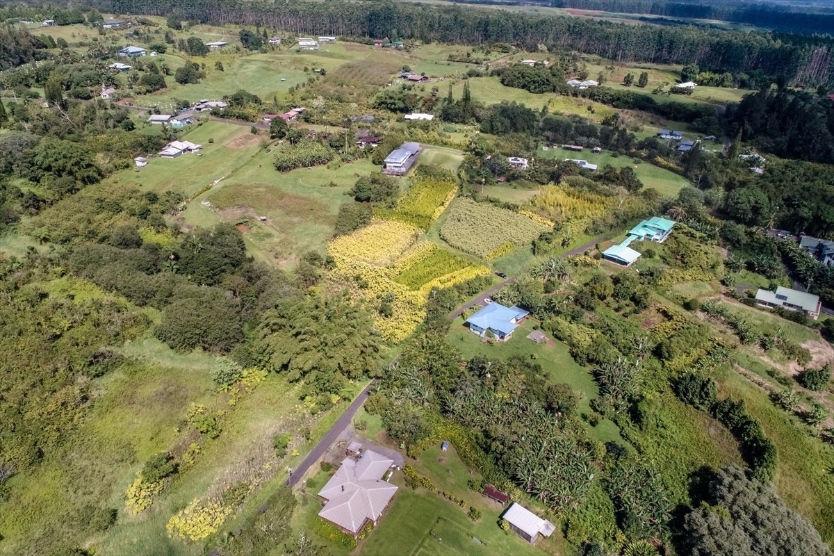 699 Kopa'a Road Hilo, HI 96720 - Photo 7 of 20 an aerial view of residential houses with yard