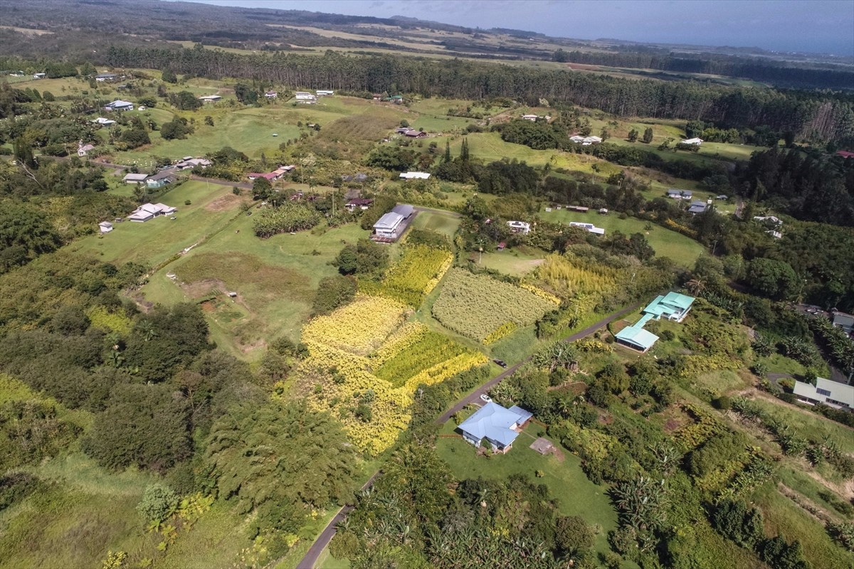 699 Kopa'a Road Hilo, HI 96720 - Photo 8 of 20 a view of city and mountain view