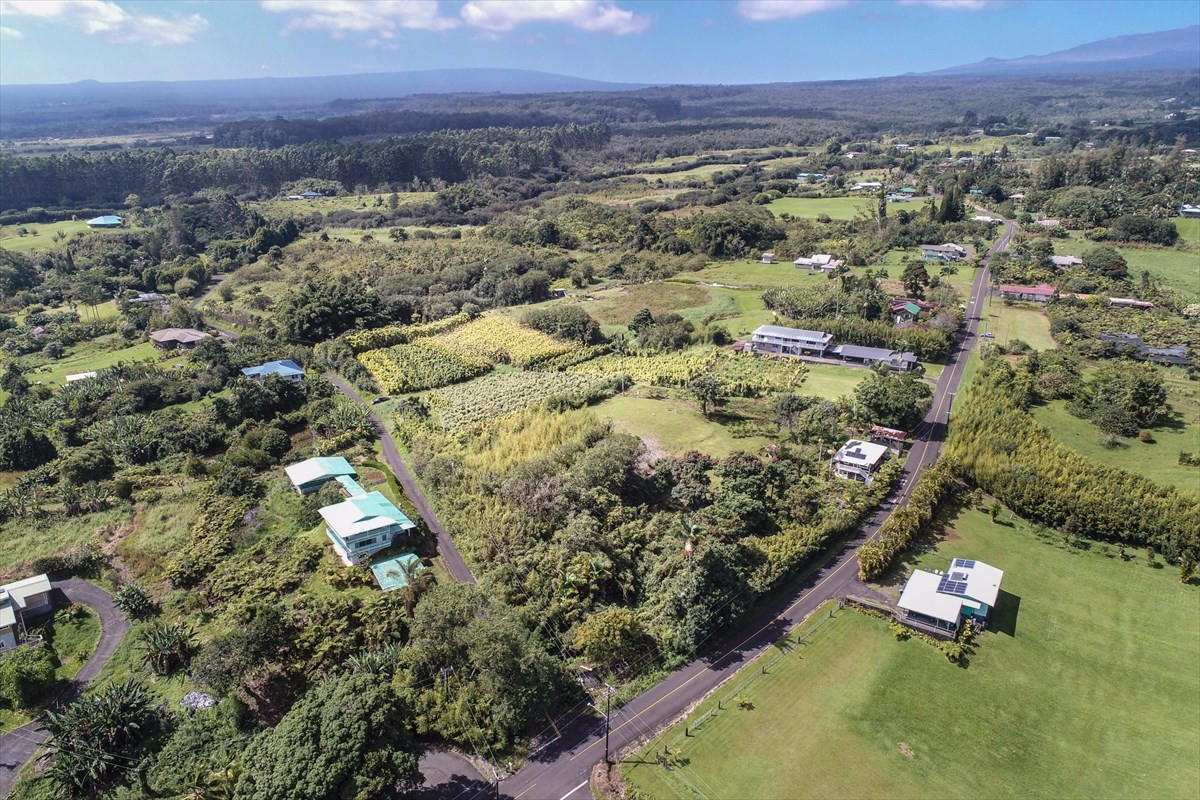 699 Kopa'a Road Hilo, HI 96720 - Photo 9 of 20 an aerial view of residential houses with outdoor space