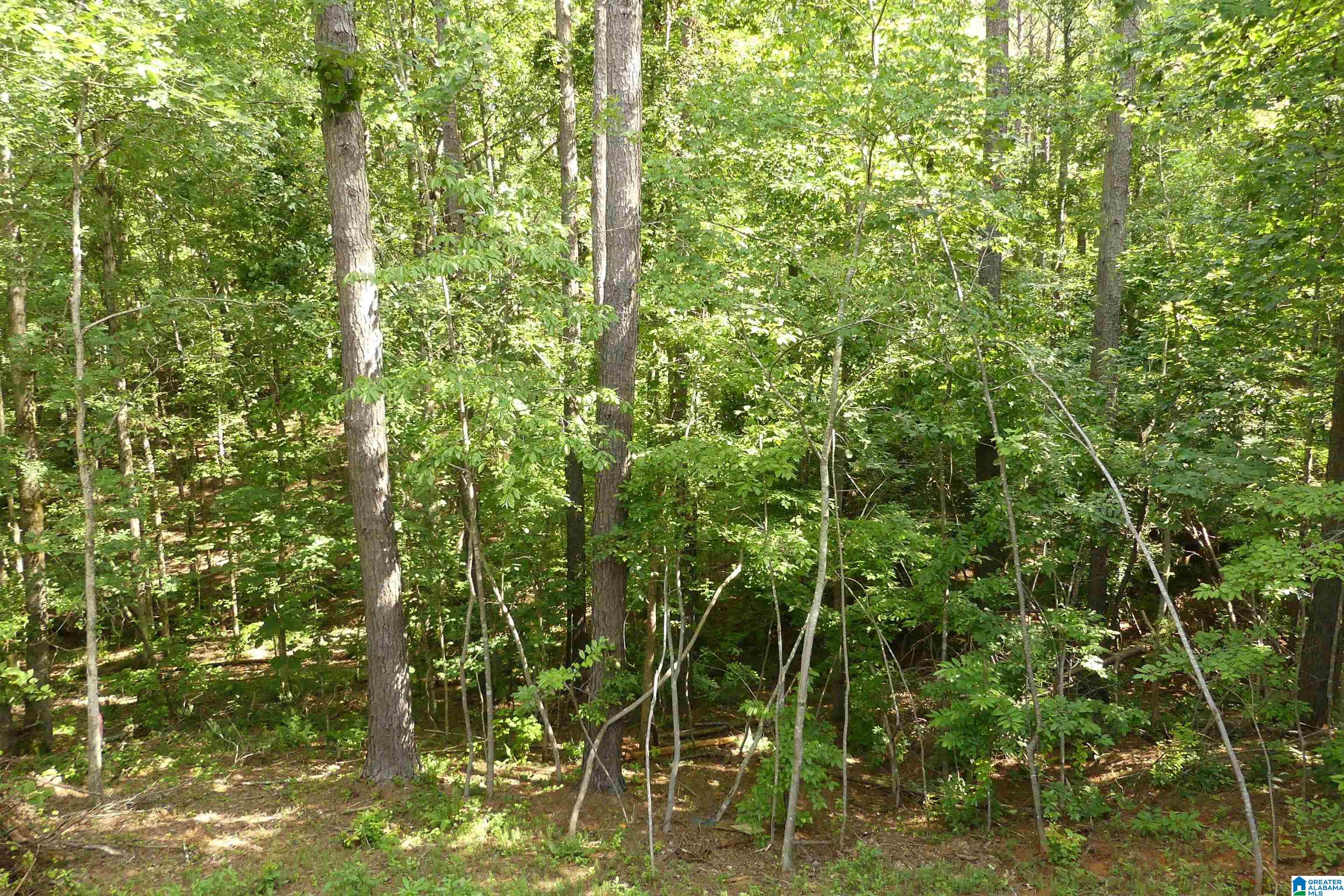 162 Anchor Ridge Road Wedowee, AL 36278 - Photo 25 of 25
