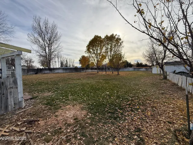 a view of a field with large trees