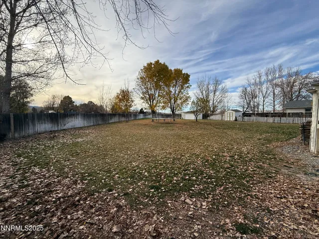 a view of a yard with a tree