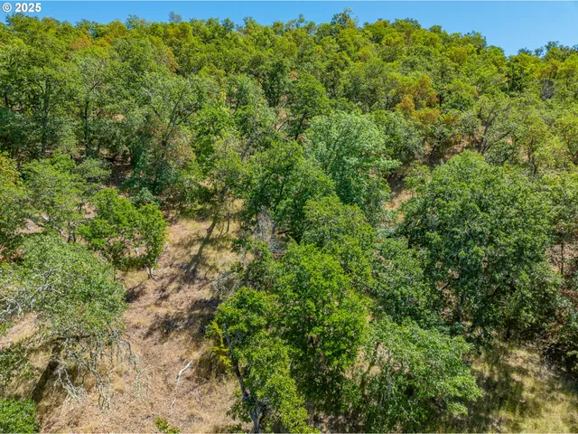 a view of a large yard with lots of green space