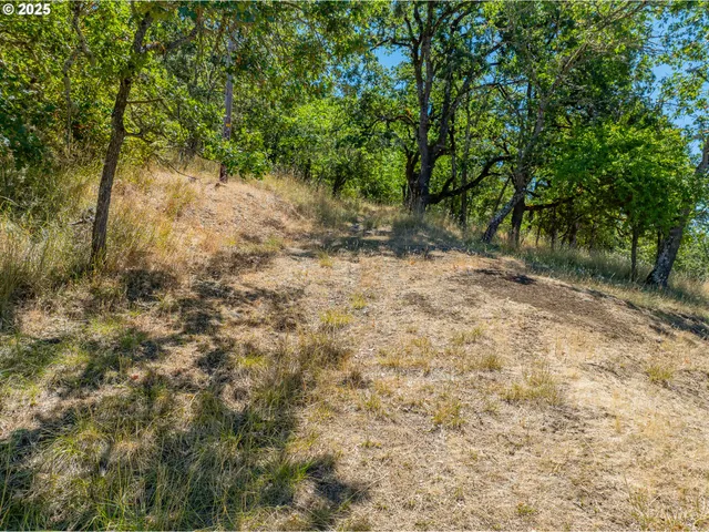 a view of a yard with plants and trees