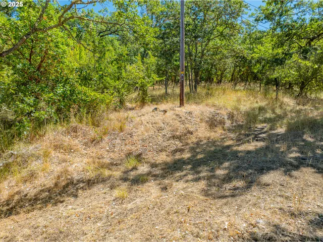 a view of yard with trees