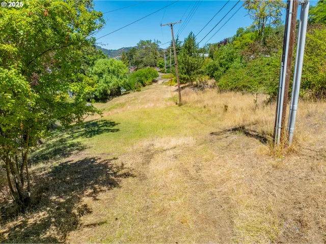 a view of a yard with plants