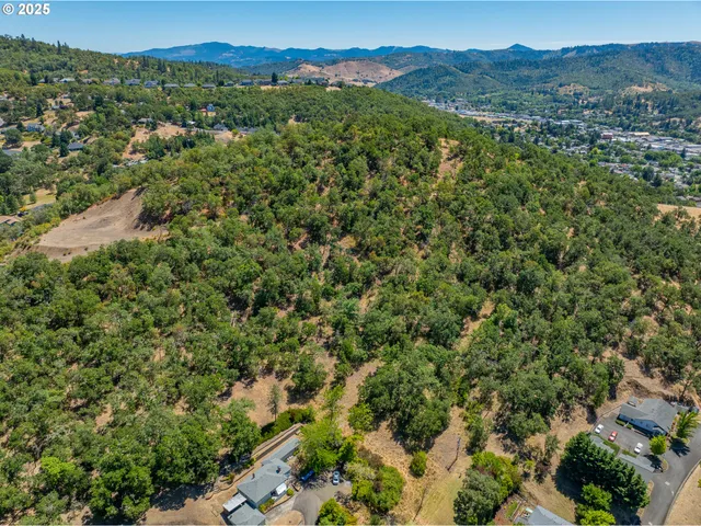 a view of a city with lush green forest