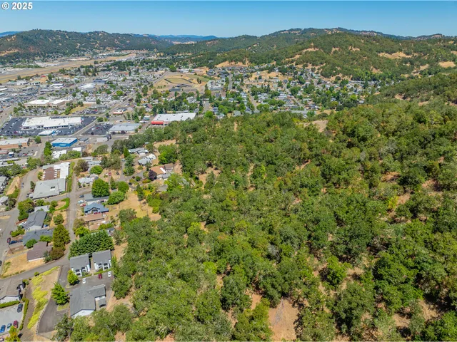 a view of city and mountain