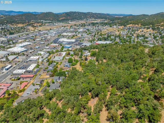 a view of a city with a mountain