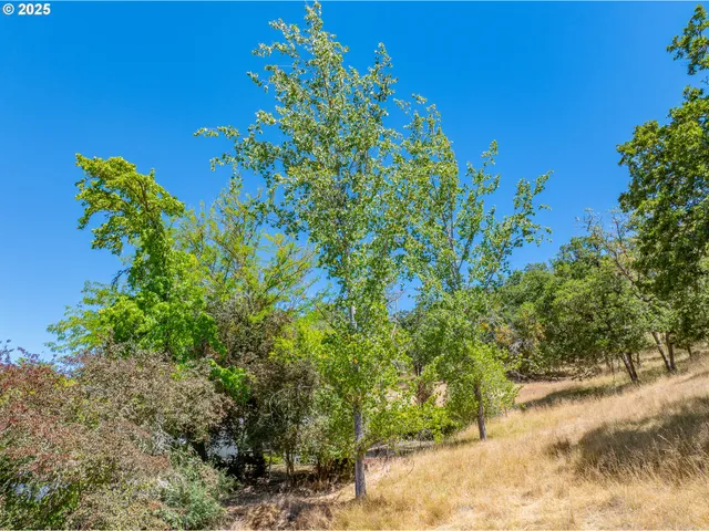 a plant that is in a garden